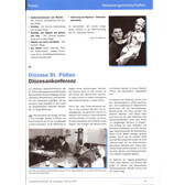 2009-1/2 - Der Mesner als Kirchenpfleger - Seite 2